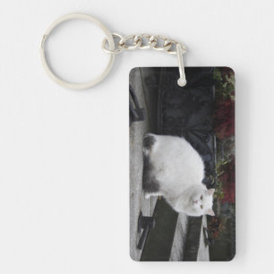 Beautiful White Cat On A Grave Keychain