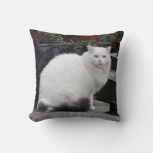 Beautiful White Cat On A Grave Throw Pillow