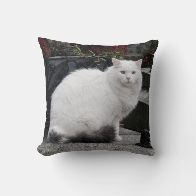 Beautiful White Cat On A Grave Throw Pillow (Front)