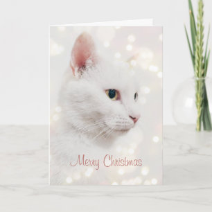 Beautiful White Cat with Christmas Lights Holiday  Card