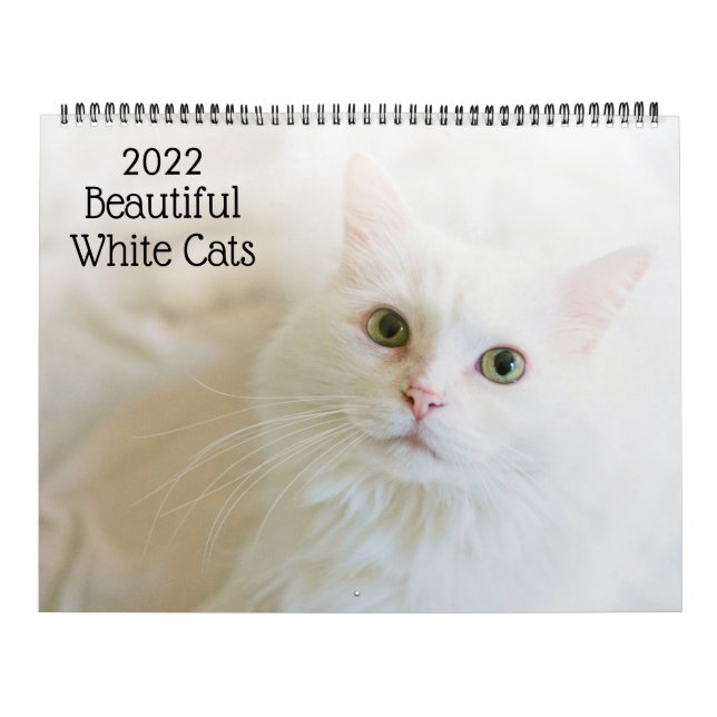 Beautiful White Cats 2022 Calendar (Cover)