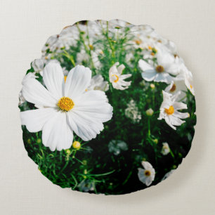 Beautiful white cosmos flowers blooming in gardena round pillow