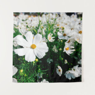 Beautiful white cosmos flowers blooming in gardena tapestry