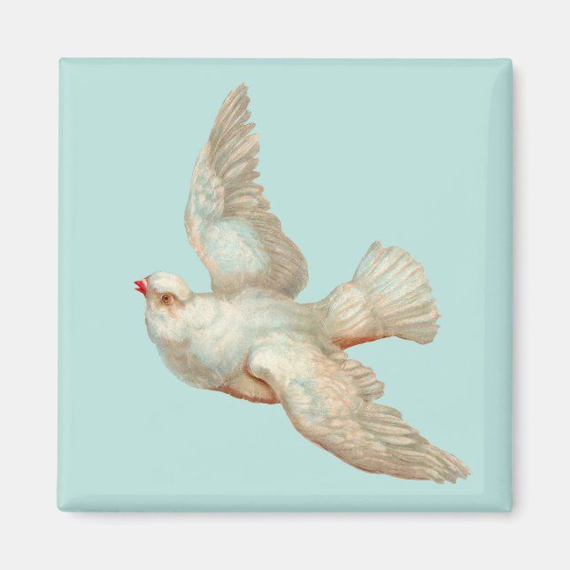 beautiful white dove magnet (Front)