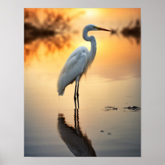 Beautiful White Egret Alone at Dawn Poster