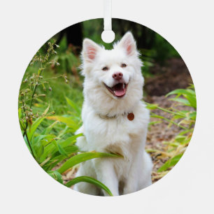 Beautiful White Finnish Spitz - Lapphund Metal Ornament