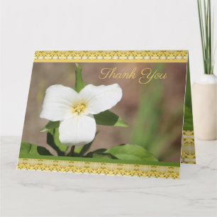 Beautiful White Flower Card