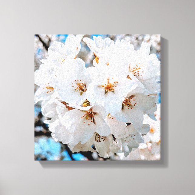 Beautiful White Flowers Under a Bright Sun Canvas (Front)
