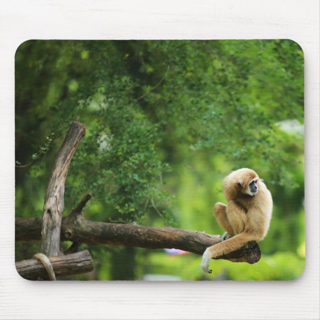 Beautiful White Handed Gibbon on a Tree Mouse Pad (Front)