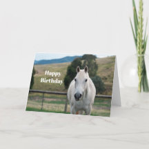 Beautiful White Horse Appaloosa Photo Birthday