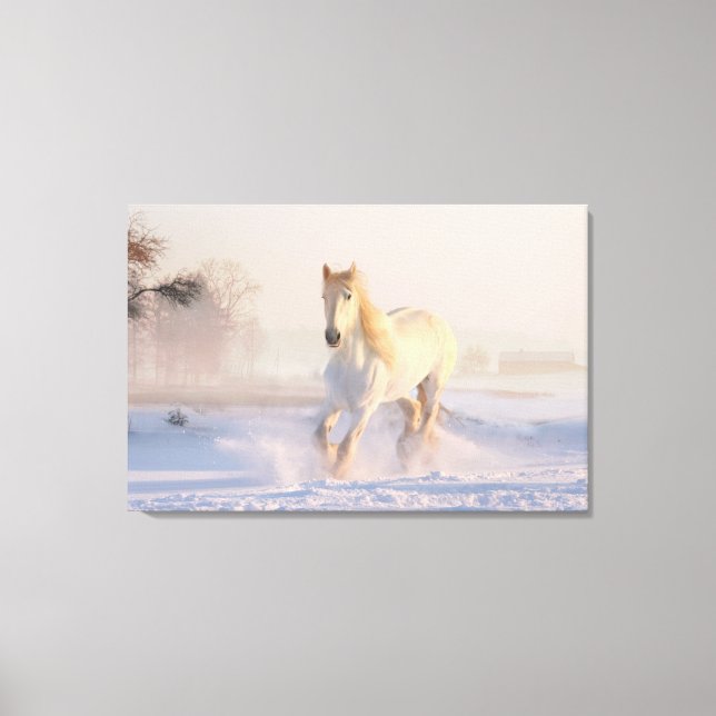 Beautiful White Horse Galloping in the Snow Canvas Print (Front)