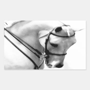 Beautiful white Horse head Sticker