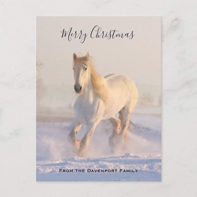 Beautiful White Horse in the Snow Photo Christmas Holiday Postcard (Front)