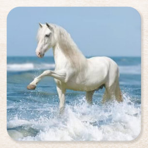 Beautiful White Horse in the Water Square Paper Coaster