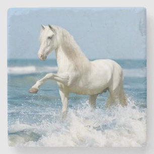 Beautiful White Horse in the Water Stone Coaster