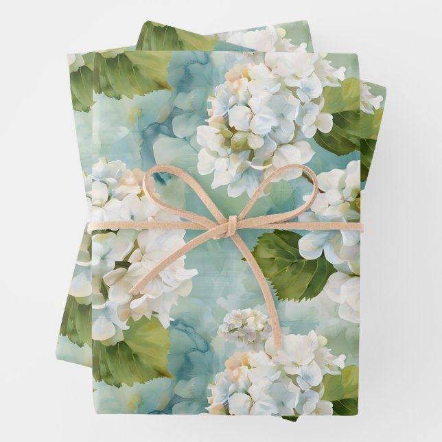 Beautiful white hydrangea on blue wrapping paper sheet (In situ)