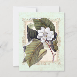 Beautiful White Magnolia Formal Dinner Party Invitation