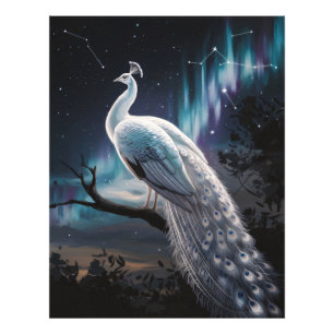 Beautiful White Peacock Aurora Borealis Scenic Photo Print