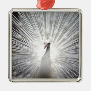 Beautiful white peacock metal ornament