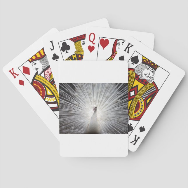 Beautiful white peacock playing cards (Back)