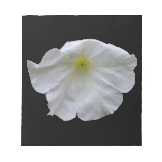 Beautiful White Petunia Notepad (Front)