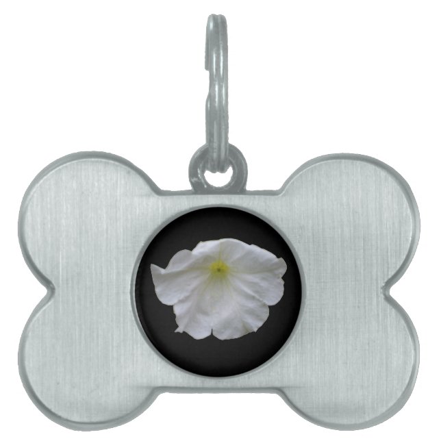 Beautiful White Petunia Pet Tag (Front)