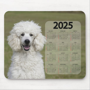 Beautiful White Poodle 2025 Dog Calendar Mouse Pad