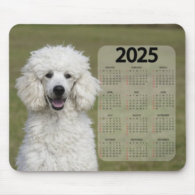 Beautiful White Poodle 2025 Dog Calendar Mouse Pad (Front)