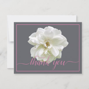 Beautiful White Rose Colour Backdrop Chic Thank Yo Postcard