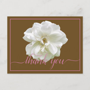 Beautiful White Rose Colour Backdrop Chic Thank Yo Postcard