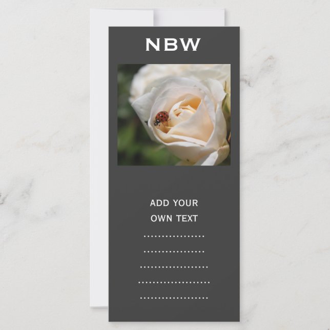 beautiful white rose flower and ladybug (Front)
