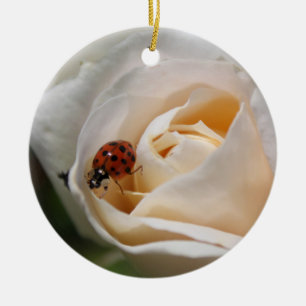 beautiful white rose flower and ladybug ceramic ornament