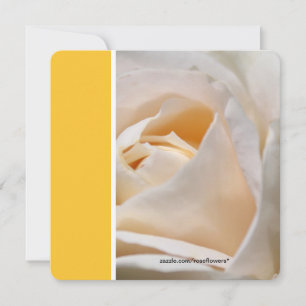 Beautiful white rose flower birthday party invitation