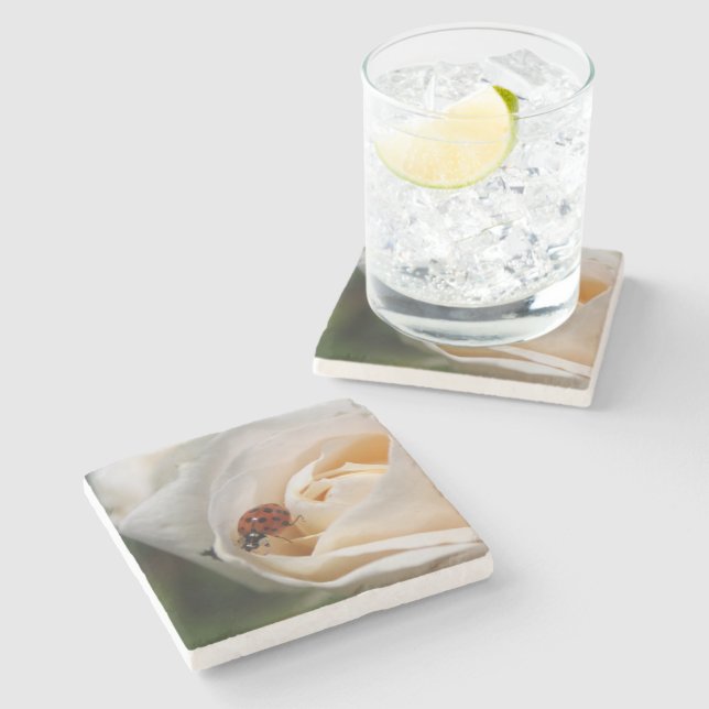 Beautiful white rose flower, red  ladybug stone coaster (Side)