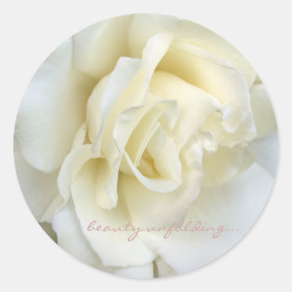 Beautiful white rose small sticker