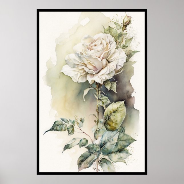Beautiful White Rose Watercolor Poster (Front)