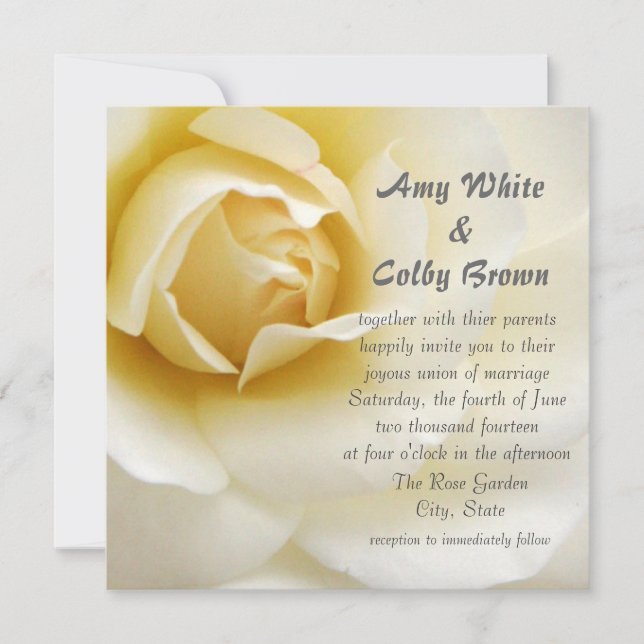 Beautiful White Rose Wedding Invitations (Front)