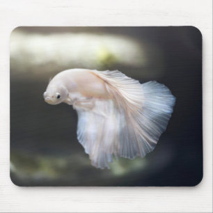 Beautiful White Siamese Betta Fighting Fish Mouse Pad