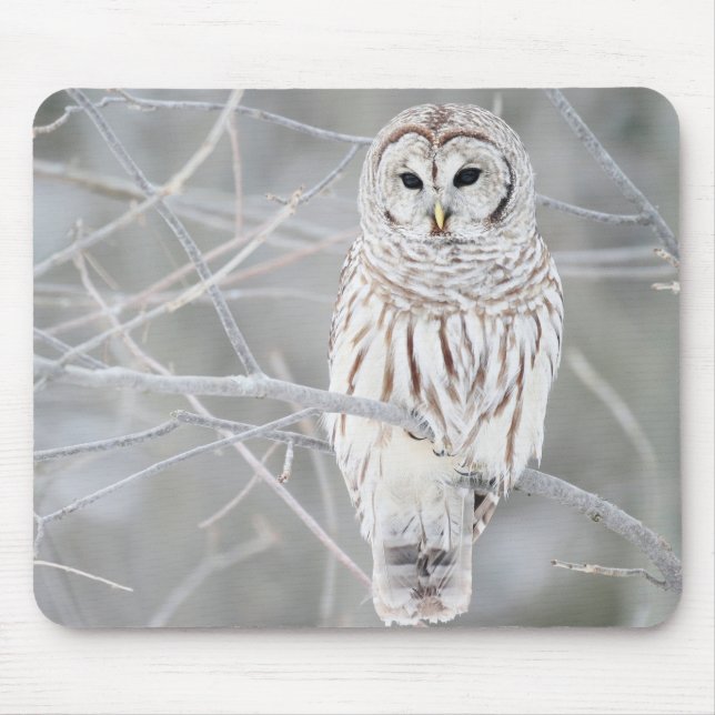 Beautiful White Snow Owl Design Mouse Pad (Front)