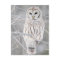 Beautiful White Snow Owl Design