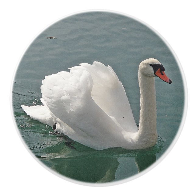 Beautiful white swan ceramic knob (Front)