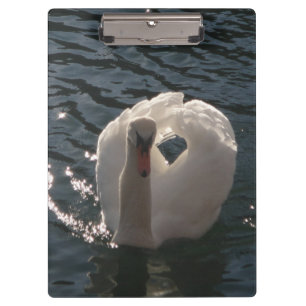 Beautiful white swan clipboard