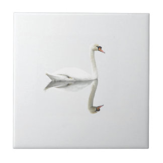 Beautiful white swan in water mirror image tile