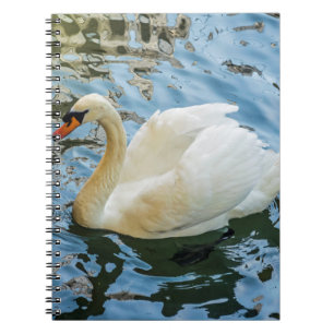 Beautiful white swan notebook