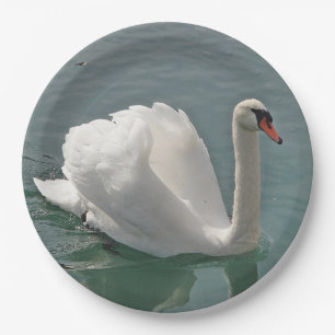 Beautiful white swan paper plate