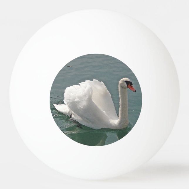 Beautiful white swan ping pong ball (Front)