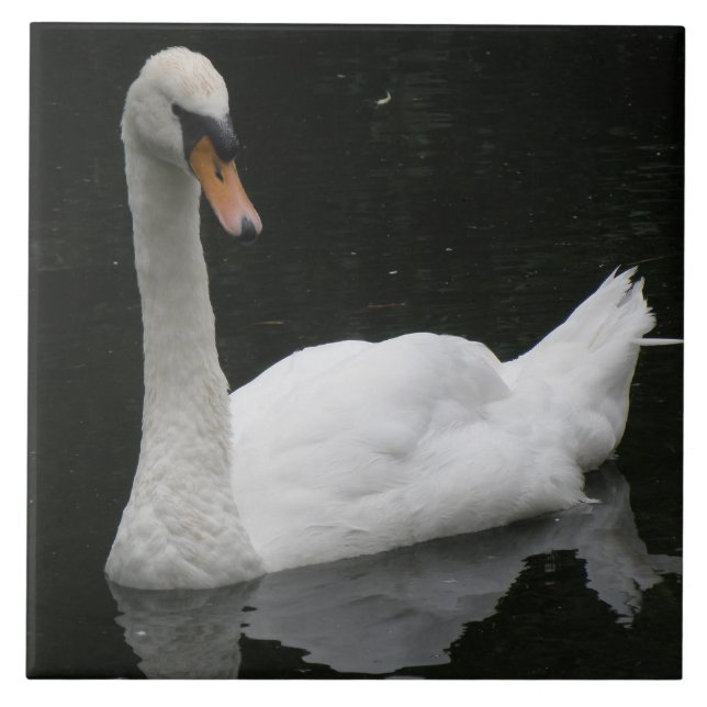 Beautiful White Swan Tile (Front)