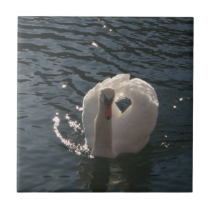 Beautiful white swan tile
