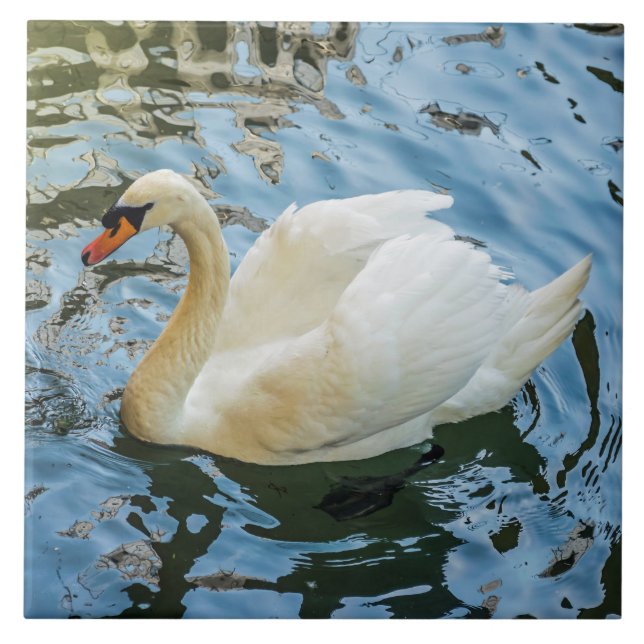 Beautiful white swan view ceramic tile (Front)