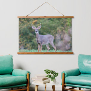 Beautiful White-tailed Deer in Field Hanging Tapestry